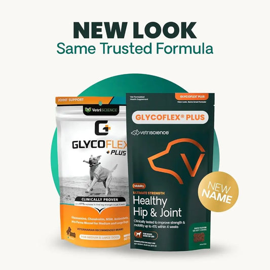 GlycoFlex Ultimate Strength Healthy Hip & Joint Glucosamine Supplements for Dogs, with MSM, Chondroitin & Green-Lipped Mussel, S