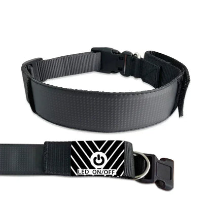 Programmable LED Dog Collar – Flashing Light-Up Rechargeable Safety Collar for Night Walks