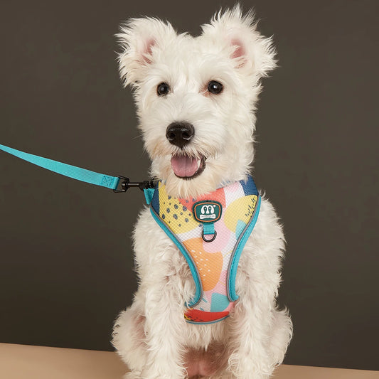 New Arrives Adjustable Soft Mesh With Fashionable Design Pet Harness And Leash Set - Bdba PK