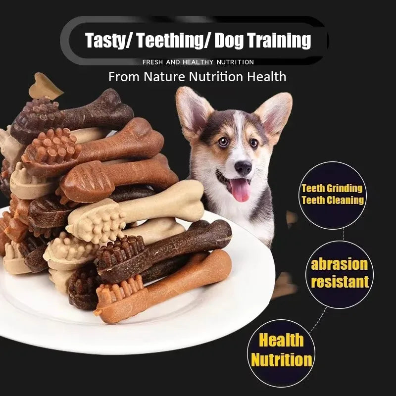 Bone-Shaped Dog Dental Chew Stick – Natural Toothbrush Treat for Puppies & Adult Dogs
