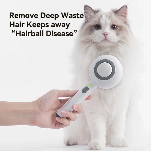 Pet spray Comb Cat Cleaning Massage Comber Brush Removing Float Needle Comb Anti Flying Hair Spray Cat Dog Comb Beauty Products - Bdba PK