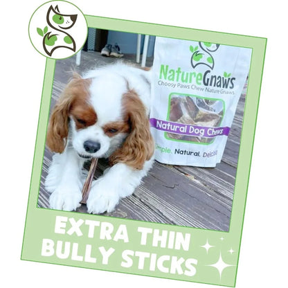 Extra Thin Bully Sticks for Small Dogs – 50 Count Natural Beef Chews for Puppies & Light Chewers