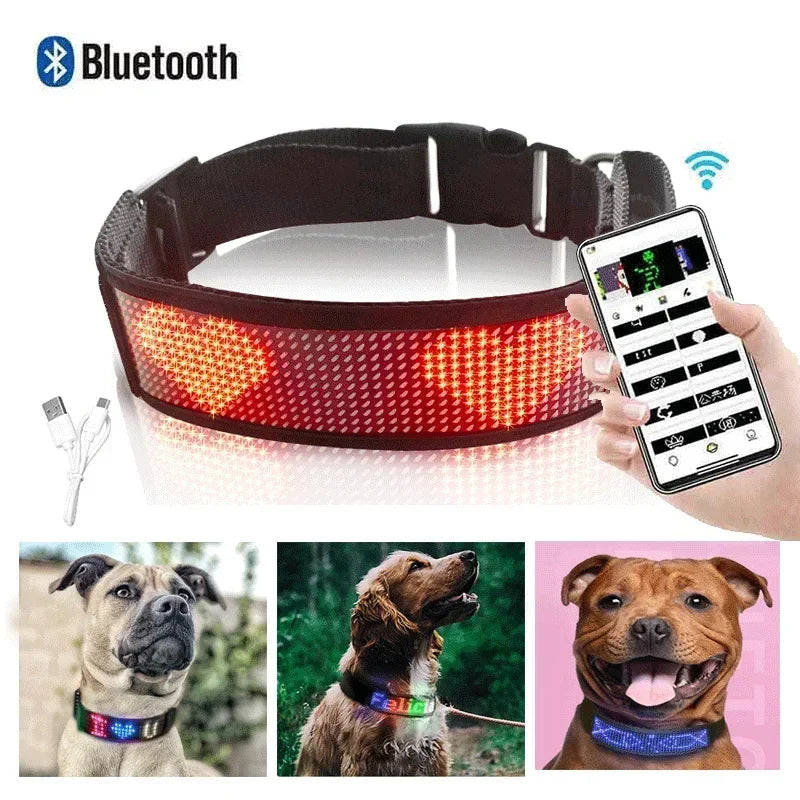Programmable LED Dog Collar – Flashing Light-Up Rechargeable Safety Collar for Night Walks
