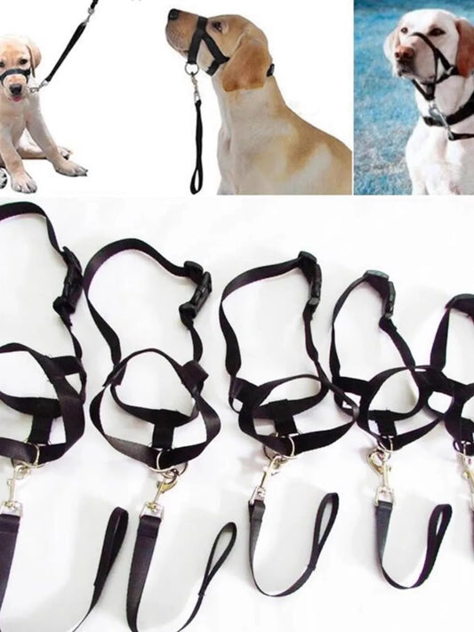 New Nose Ring Around The Mouth Dog Muzzle Adjustable Pet Supplies Prevent Dogs From Eating Randomly Prevent Random Biting - Bdba PK
