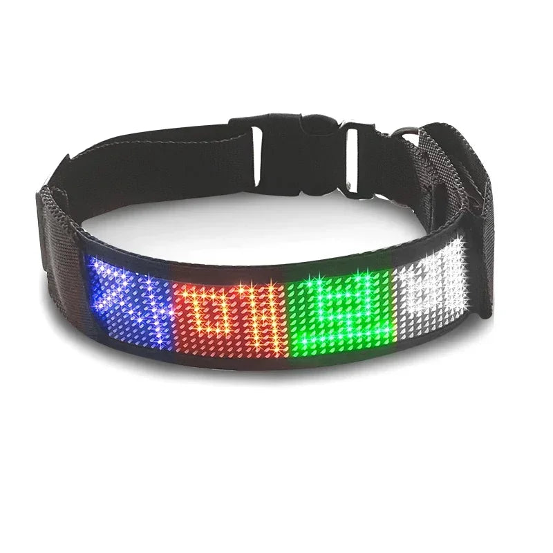 Programmable LED Dog Collar – Flashing Light-Up Rechargeable Safety Collar for Night Walks