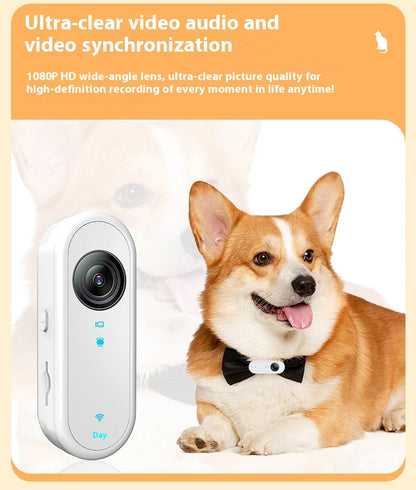 HD 1080P Pet Collar Camera – Waterproof WiFi Dog & Cat Body Cam with Anti-Shake