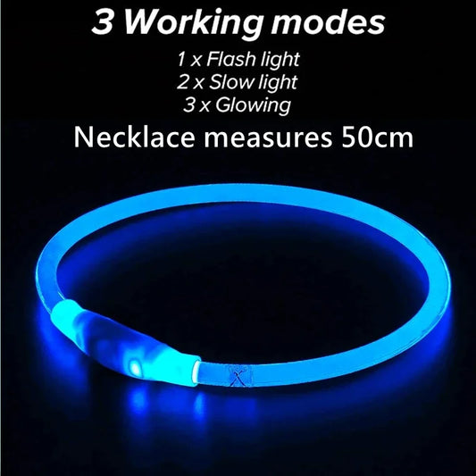 USB Rechargeable LED Dog Collar – Flashing Safety Glow Collar for Night Walks - Bdba PK