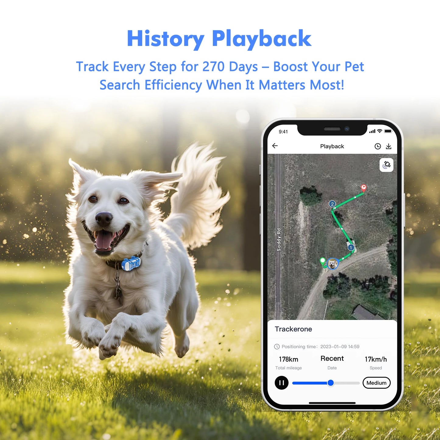 WANWAYTECH 4G Pet GPS Tracker – Waterproof Live Tracking for Dogs & Cats