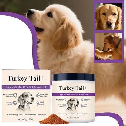1/3PCS Dog Gut Health Powder 100g Probiotic Intestinal Support Bacon Flavor Chicken Meal Digestive Aid Joint Comfort Immune Care