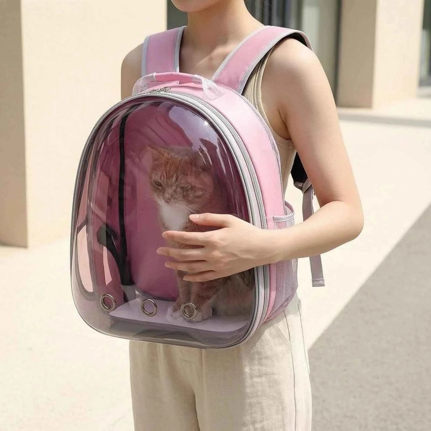Cat Bubble Backpack Carrier Mesh Pocket Transparent Pet Carrier Backpack Ventilation Ventilated