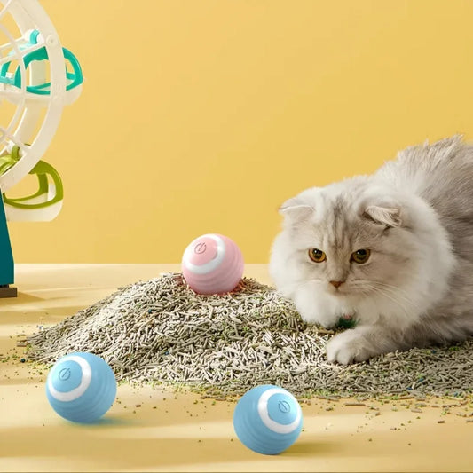 Smart Automatic Rolling Cat Ball Toy – Electronic Indoor Interactive Magic Ball for Cats - Bdba PK