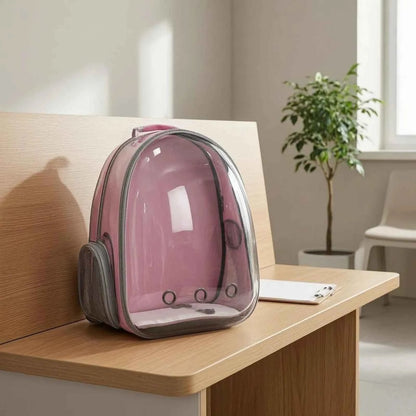 Cat Bubble Backpack Carrier Mesh Pocket Transparent Pet Carrier Backpack Ventilation Ventilated