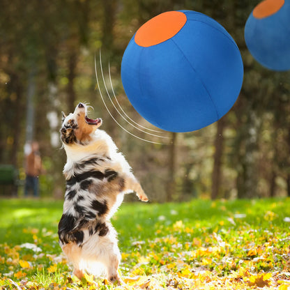 Inflatable Dog Ball – Large Outdoor Interactive Training Toy for Dogs