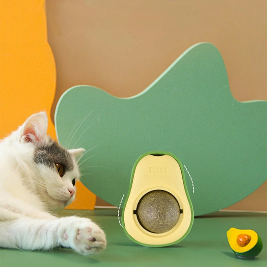 Rotatable Wall Stick-On Catnip Ball – Natural Teeth Cleaning & Scratching Toy for Cats - Bdba PK