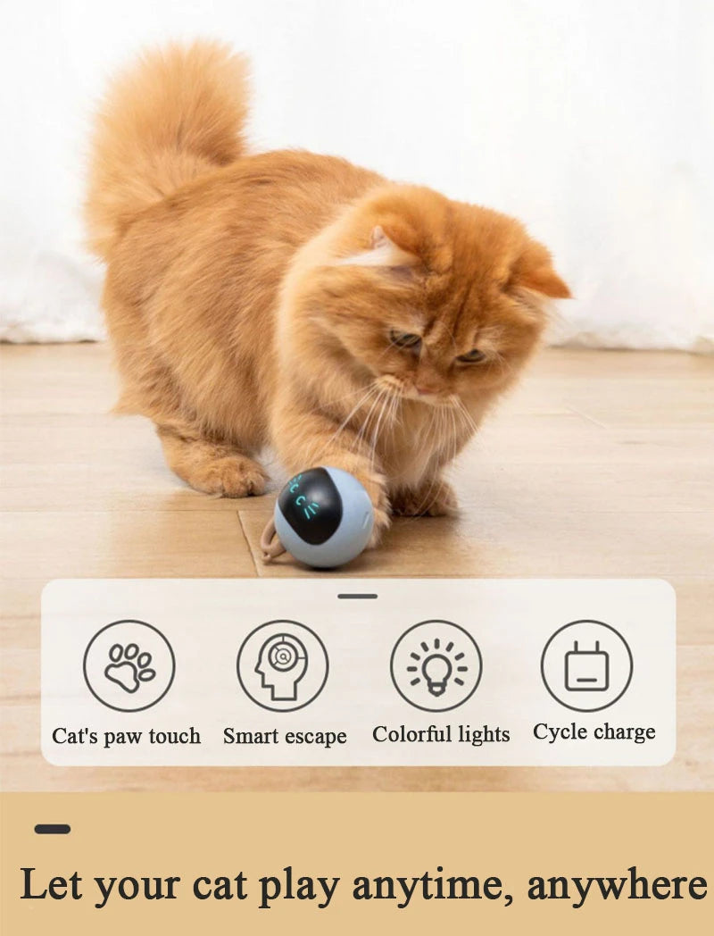 AI Smart Cat Ball Toy – USB Rechargeable 360° Rolling Interactive Cat Toy