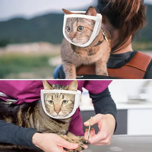 Transparent Anti-Bite Cat Muzzle – Adjustable Breathable Grooming Muzzle for Small Cats (S & M) - Bdba PK