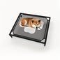 Cooling Elevated Dog Bed - Raised Dog Cot Fits, Pet Cot with Durable Supportive Mesh, Indoor & Outdoor, Black, Small Pet Bed