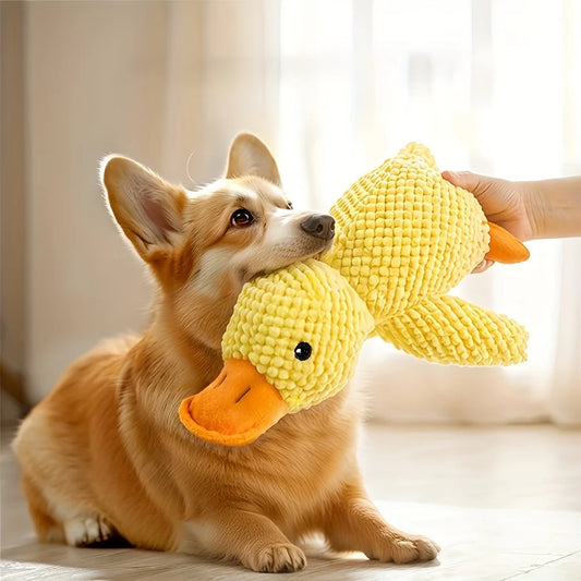 Plush Squeaky Duck Dog Toy – Bite-Resistant Soft Chew Toy for Small & Medium Dogs - Bdba PK