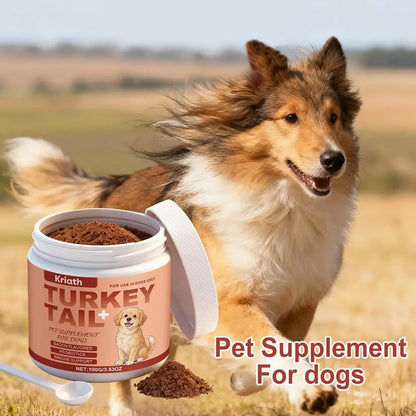 Dog Immune Support Supplement Turkey Tail Mushroom Powder With Probiotics Bacon Flavor For Gut Health And Defense System 3.53oz