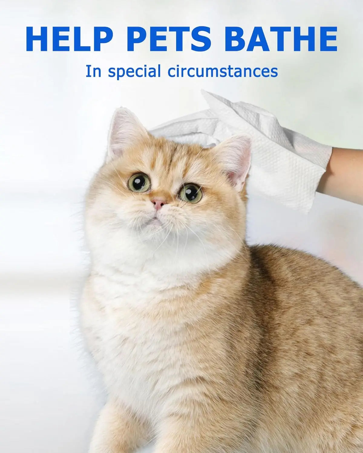Pet Cleaning Wipe Gloves – Deodorising Grooming Bath Wipes for Dogs & Cats