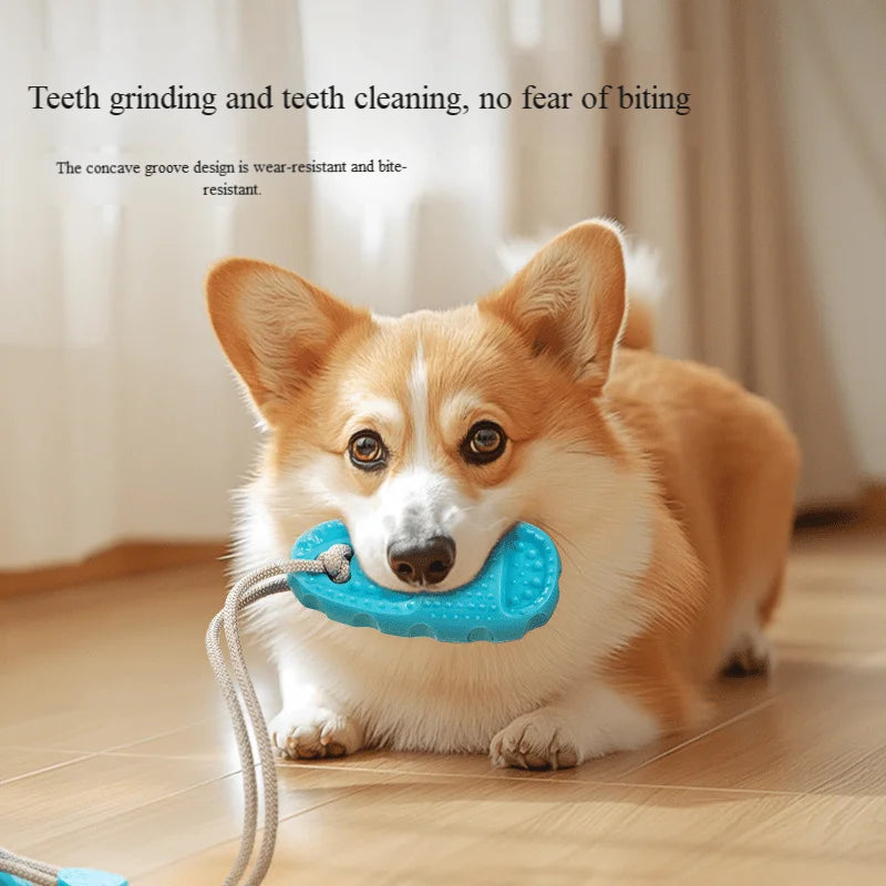 Suction Cup Slippers Ball Dog Resistant to Grinding Teeth Toys Self-Sex to Relieve Boredom of Physical Strength Pet Toys