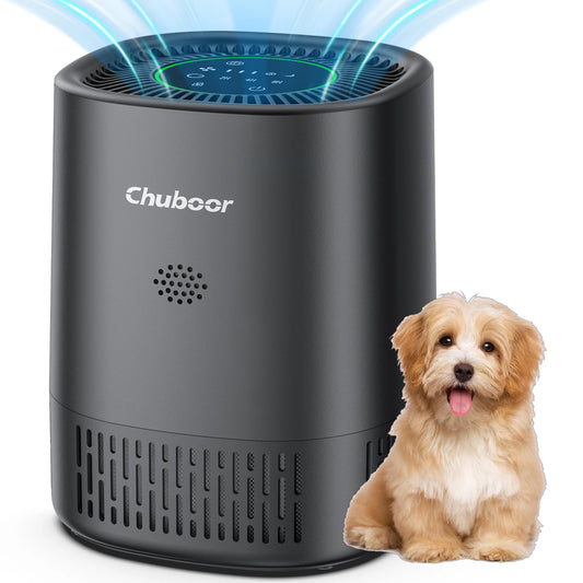 Chuboor Desktop Air Purifier – Sponge Filter for Pet Dander, Smoke, Dust & Odour