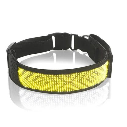 Programmable LED Dog Collar – Flashing Light-Up Rechargeable Safety Collar for Night Walks