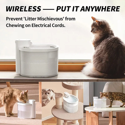 Uahpet Wireless Battery Operated Automatic Cat Pet Water Fountain 67oz 2L Ultra Quiet Cat Water Dispenser for Cats and Small Dog - Bdba PK