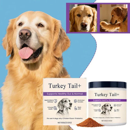 Dog Probiotic Intestinal Powder Gut Care Digestive Health Immune Support Chicken Beef Flavor Pet Nutrition Supplement
