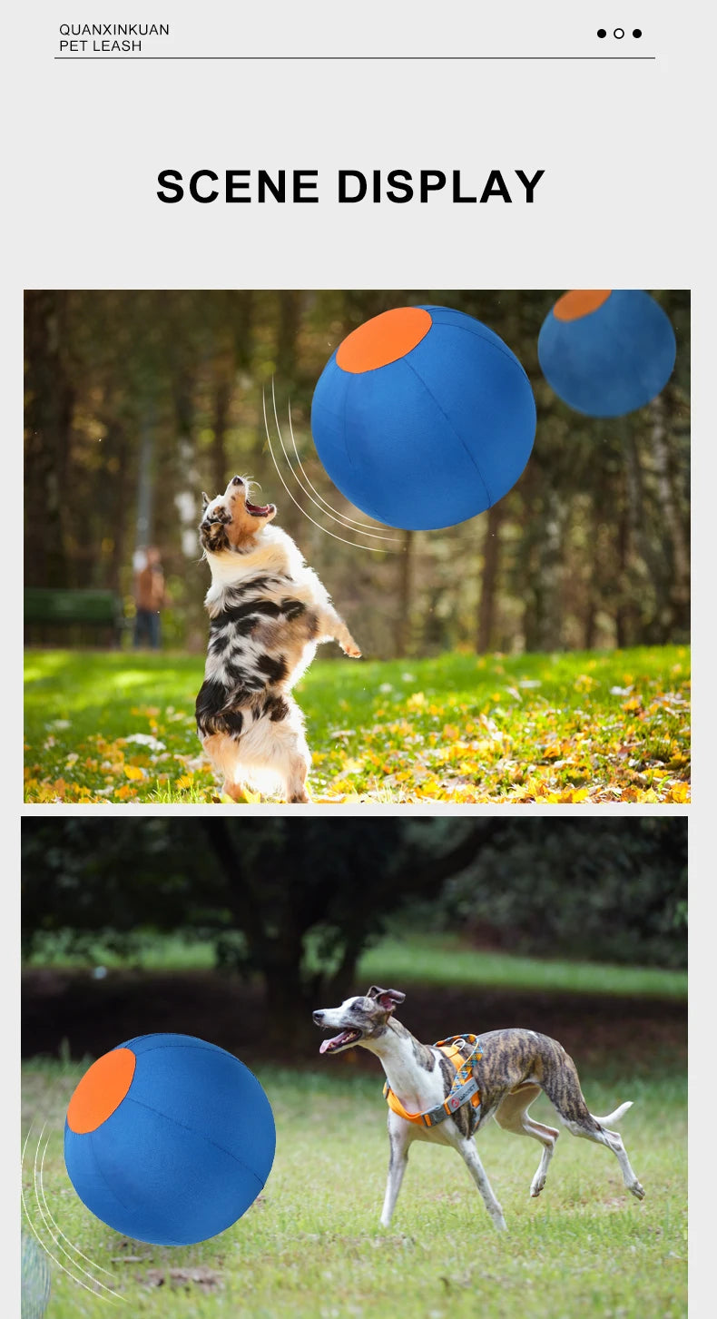 Inflatable Dog Ball – Large Outdoor Interactive Training Toy for Dogs