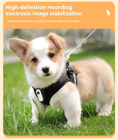 HD 1080P Pet Collar Camera – Waterproof WiFi Dog & Cat Body Cam with Anti-Shake