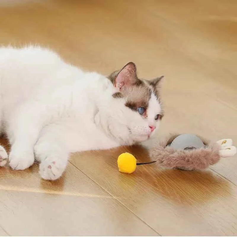 Electric Cat Toys,Hide and Seek Kitten Toy,Chirping&Motion Activated Interactive Cat Toy,Cats Hiding Cover Exercise Toys