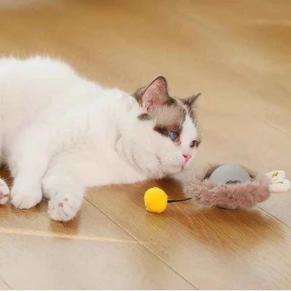 Electric Cat Toys,Hide and Seek Kitten Toy,Chirping&Motion Activated Interactive Cat Toy,Cats Hiding Cover Exercise Toys
