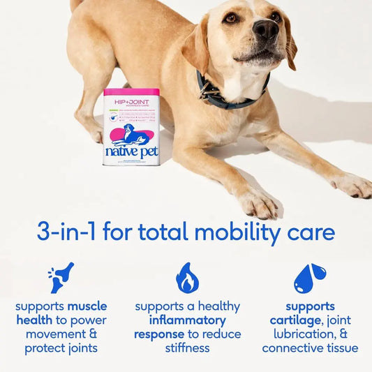 Advanced Care - Hip & Joint Supplement for Dogs - Supports Joints, Cartilage, Muscles & Anti-Inflammatory with HMB, UC-II Collag
