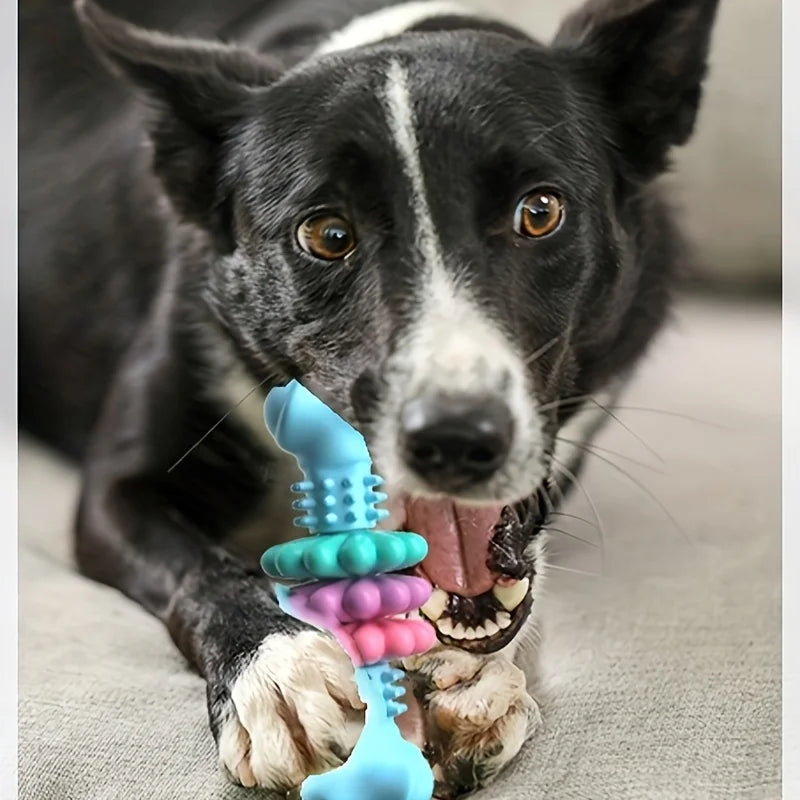 Durable TPR Dog Chew Bone for Aggressive Chewers Teeth Cleaning Toy for Small Medium Dogs Boredom Relief Training Toy Chew Extra