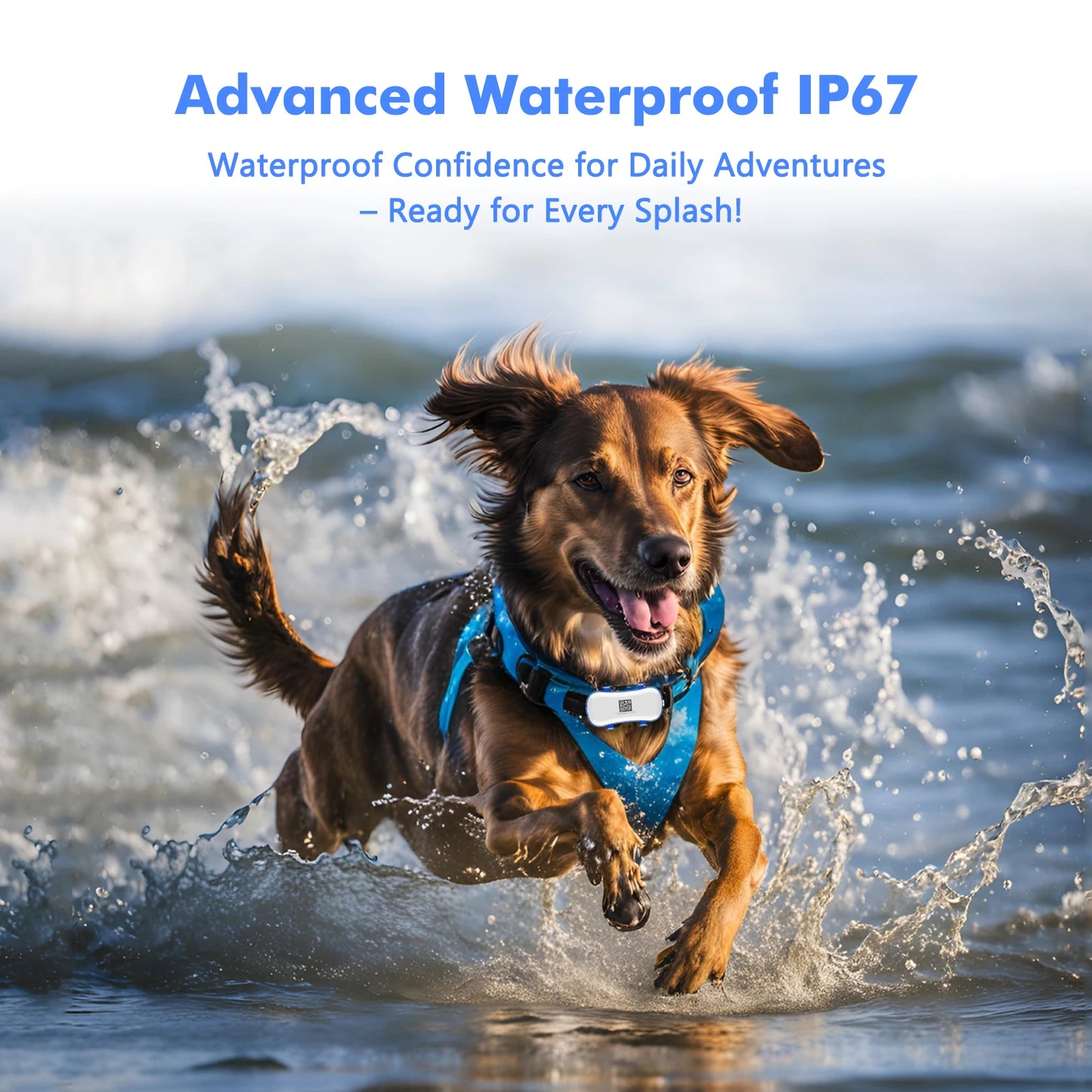 WANWAYTECH 4G Pet GPS Tracker – Waterproof Live Tracking for Dogs & Cats
