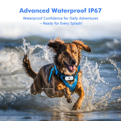WANWAYTECH 4G Pet GPS Tracker – Waterproof Live Tracking for Dogs & Cats