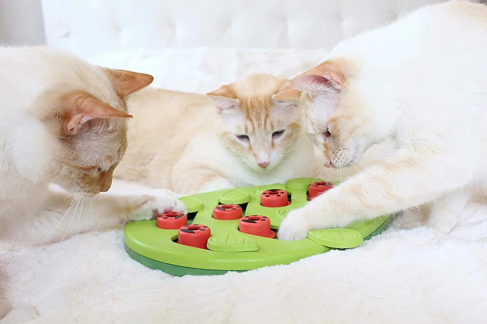 Rainy Day Puzzle & Play - Interactive Cat Treat Puzzle Cat Toys Leaks Food Cat Scratch Board