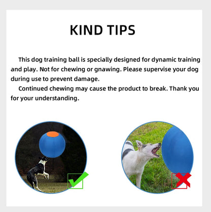 Inflatable Dog Ball – Large Outdoor Interactive Training Toy for Dogs