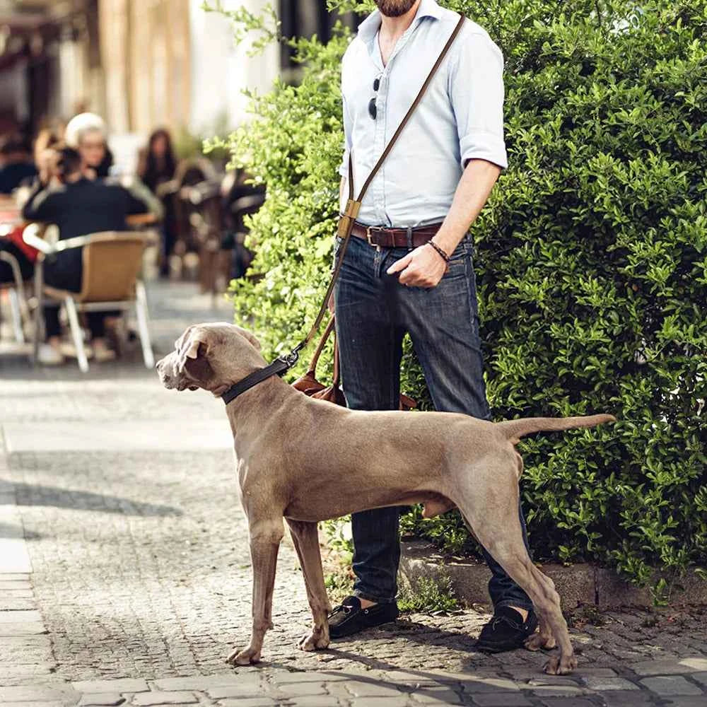 1.8M Large Dog Leash Waist Chain Traction For Running Walking Adjustment Simplicity Hands Free Dog Leash Leashes