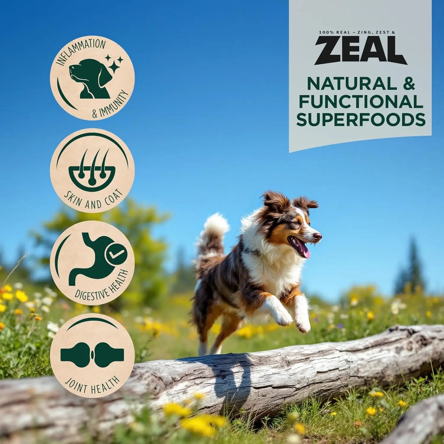 Canada Air-Dried Beef Dog Food - High Protein, Grain Free, No Fillers, Nutrient-Rich (1 lb)