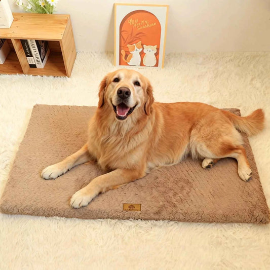 Removable Pet Bed for Medium Dog Non-slip Cat Sleeping Mat Winter Warm Small Dog Cushion Full Cat Bed Cushion Accessories