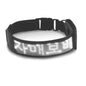 Programmable LED Dog Collar – Flashing Light-Up Rechargeable Safety Collar for Night Walks