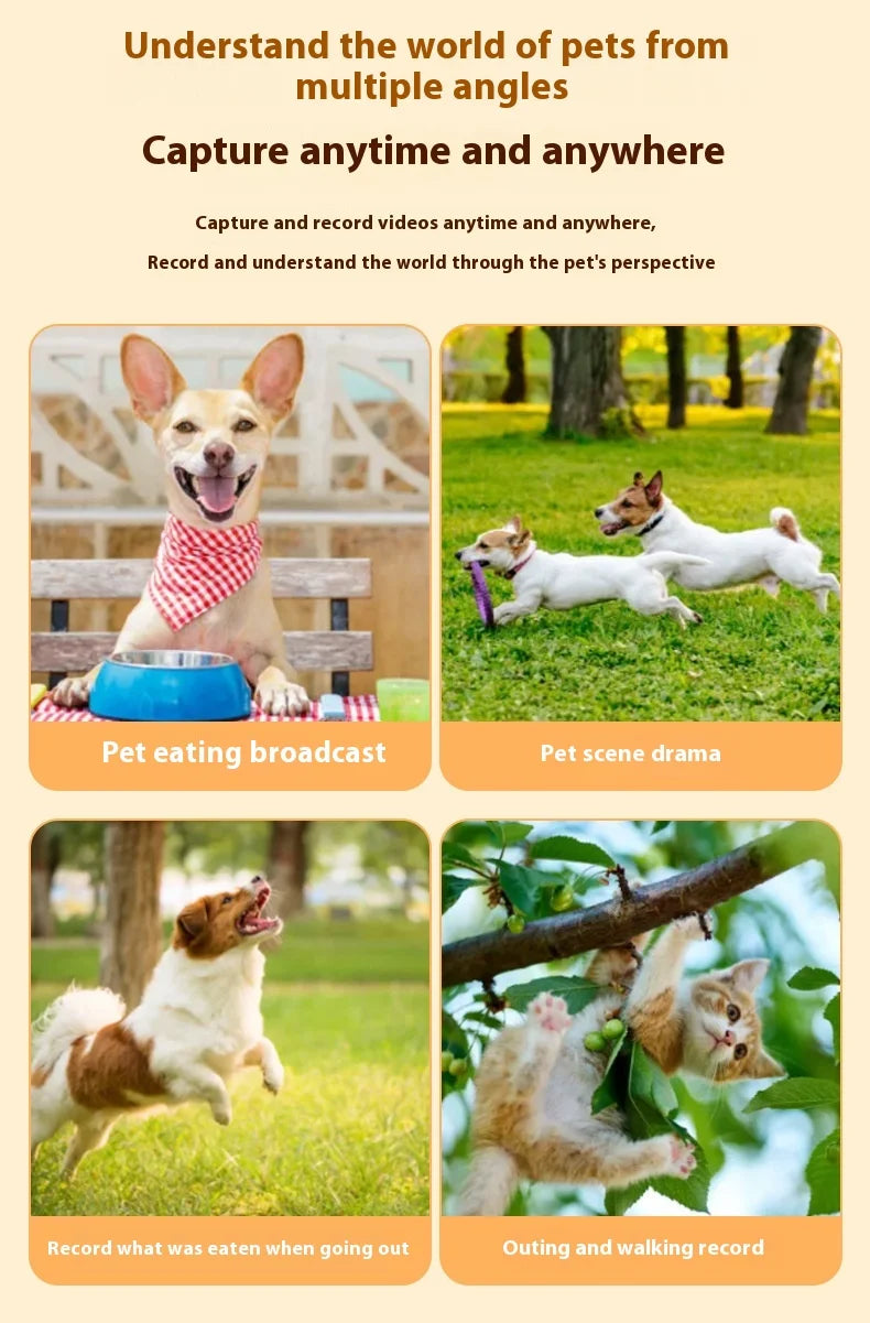 HD 1080P Pet Collar Camera – Waterproof WiFi Dog & Cat Body Cam with Anti-Shake