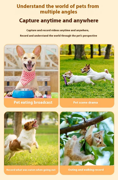 HD 1080P Pet Collar Camera – Waterproof WiFi Dog & Cat Body Cam with Anti-Shake