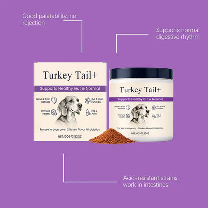Dog Probiotic Intestinal Powder 100g Delicious Bacon Flavor Gut Flora Balance Digestive Support for Dogs Nutritional Supplement
