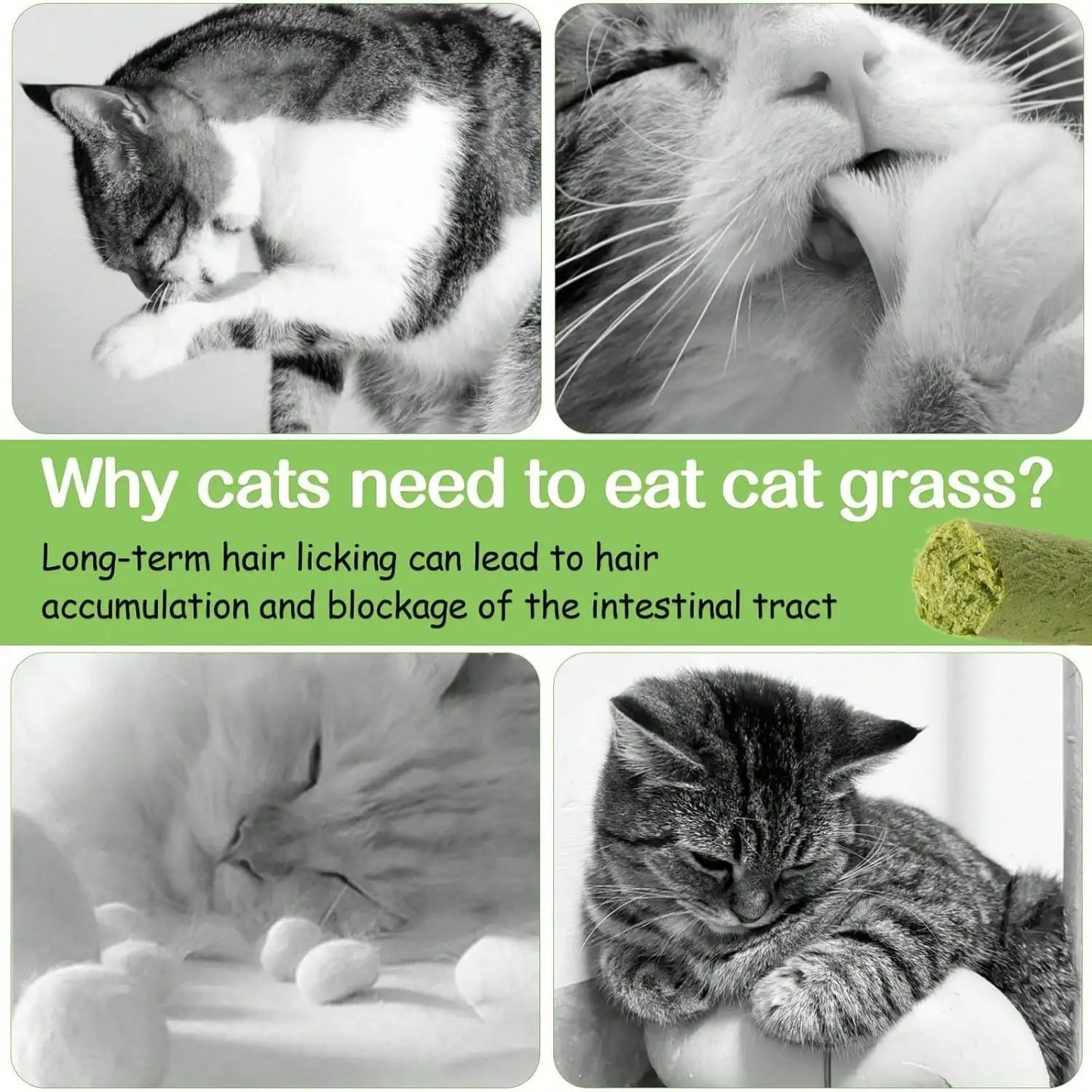 100g Cat Grass Teething Stick: Natural Dried, Teeth Cleaning & Hairball Removal Treats