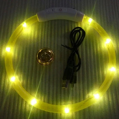 Led Usb Dog Collar Pet Dog Night Luminous Charge Collar Led Night Safety Flashing Glow Dog Loss Prevention Collar Pet Accessorie