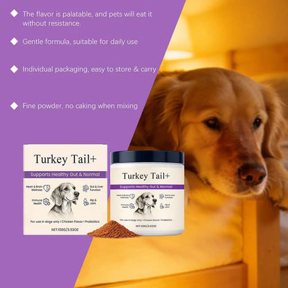 1/3PCS Dog Gut Health Powder 100g Probiotic Intestinal Support Bacon Flavor Chicken Meal Digestive Aid Joint Comfort Immune Care
