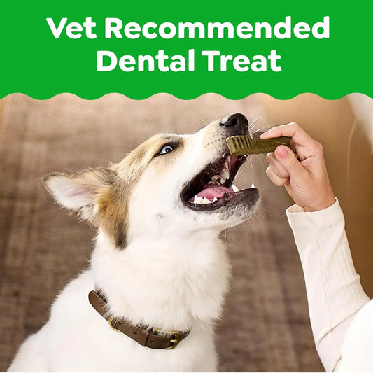 Natural Dental Dog Treats – Vet Recommended Teeth Cleaning Chews for Small Dogs - Bdba PK